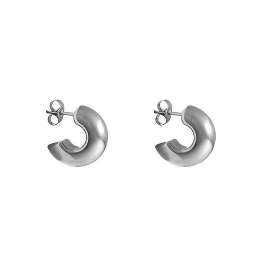 Gleam Earrings - Plata