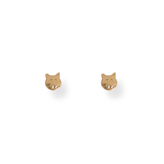 Arete Gatito